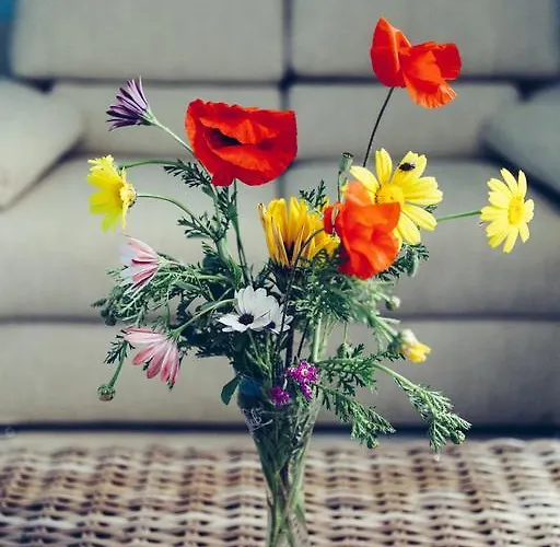住宿加早餐酒店 Blu