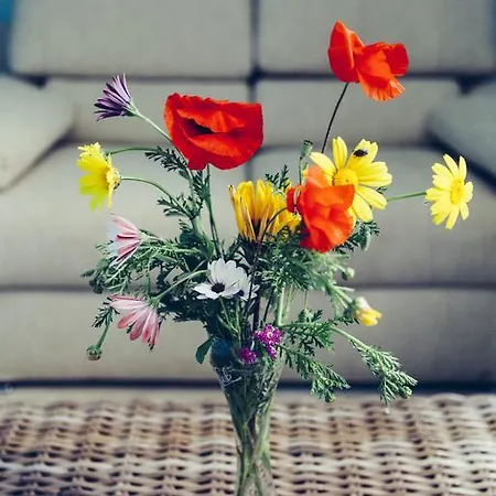 לינה וארוחת בוקר Blu